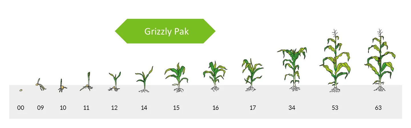 termin-stosowania-grizzly-pak